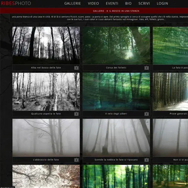 ribesphoto